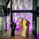 FU Hand Freedom Rocket