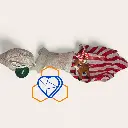 Wrapping Sample.webp