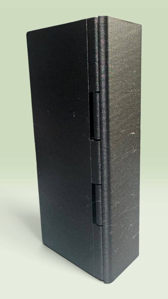 Rear hinge