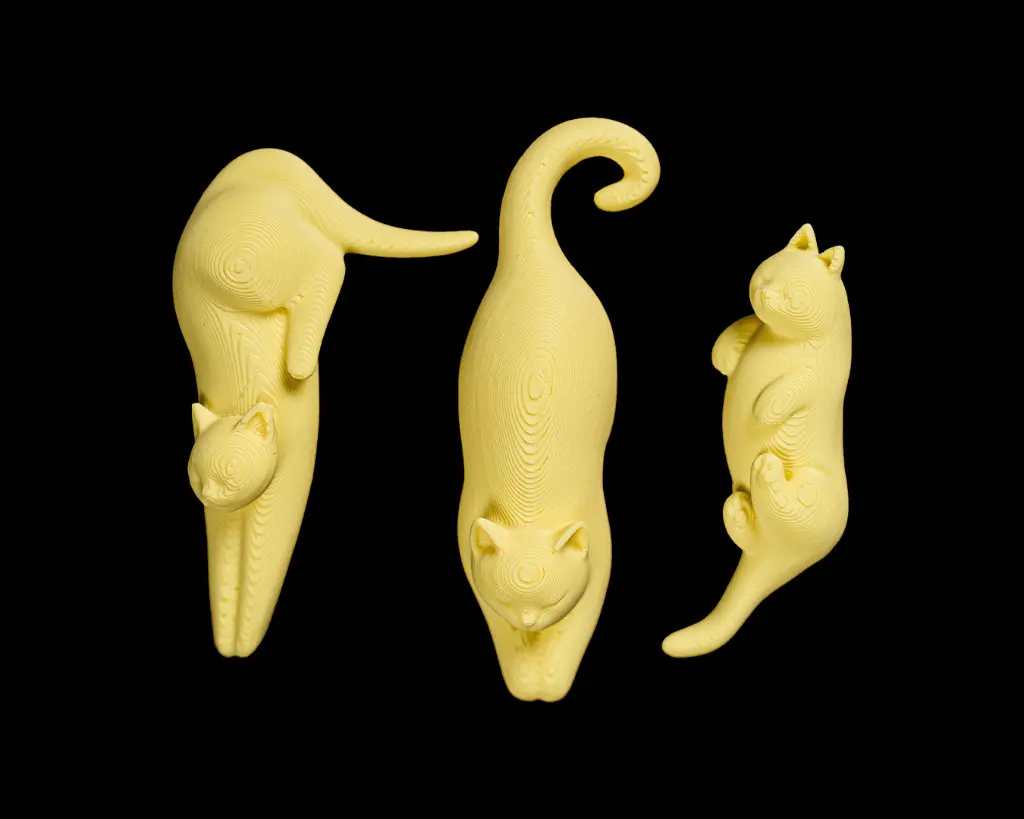 Cat_Packing_Puzzle_6_b3ec0f946e.webp