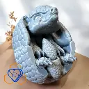 ANML0011 Rolled up Armadillo.webp