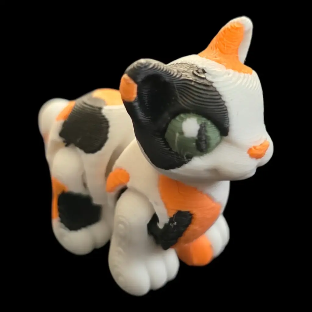  Cat Hatchling   