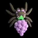 Tiny Grapes Spider   