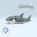 Shark Hatching