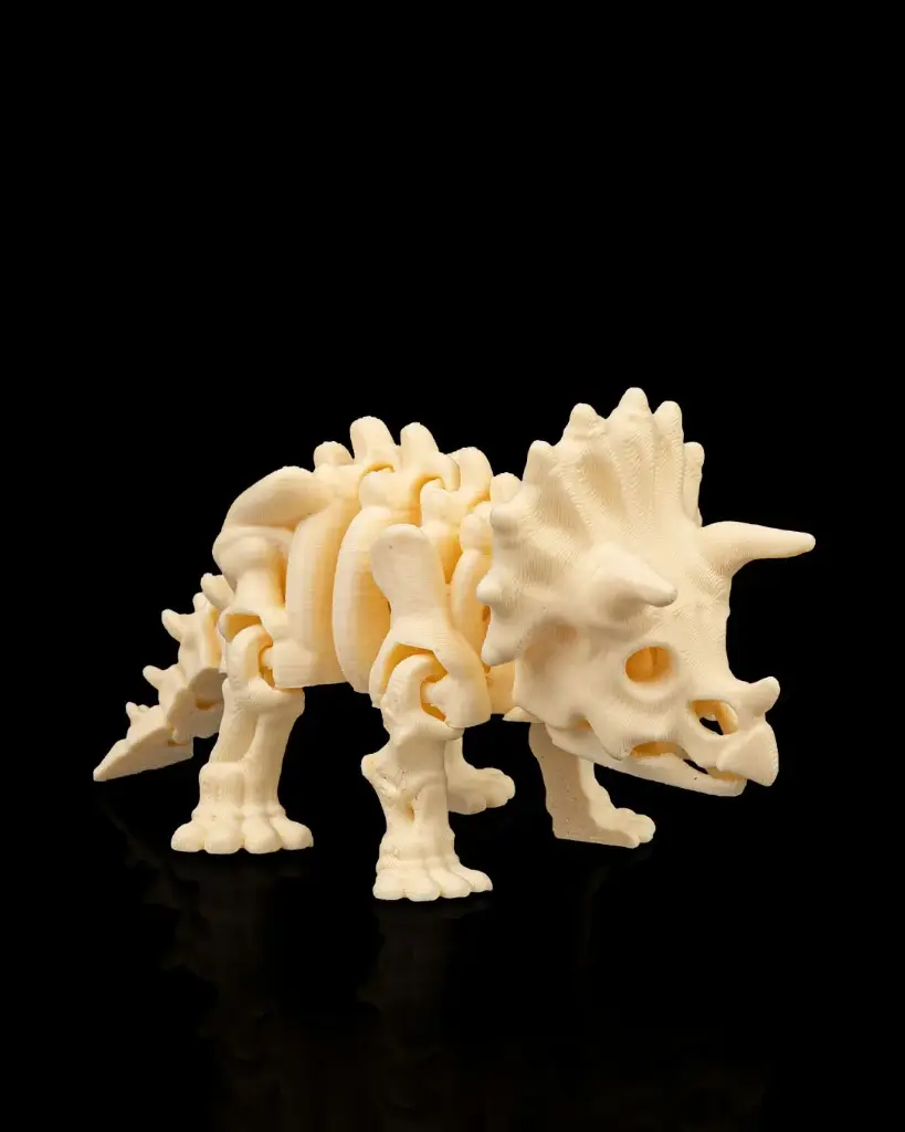 Triceratops Skeleton Fossil