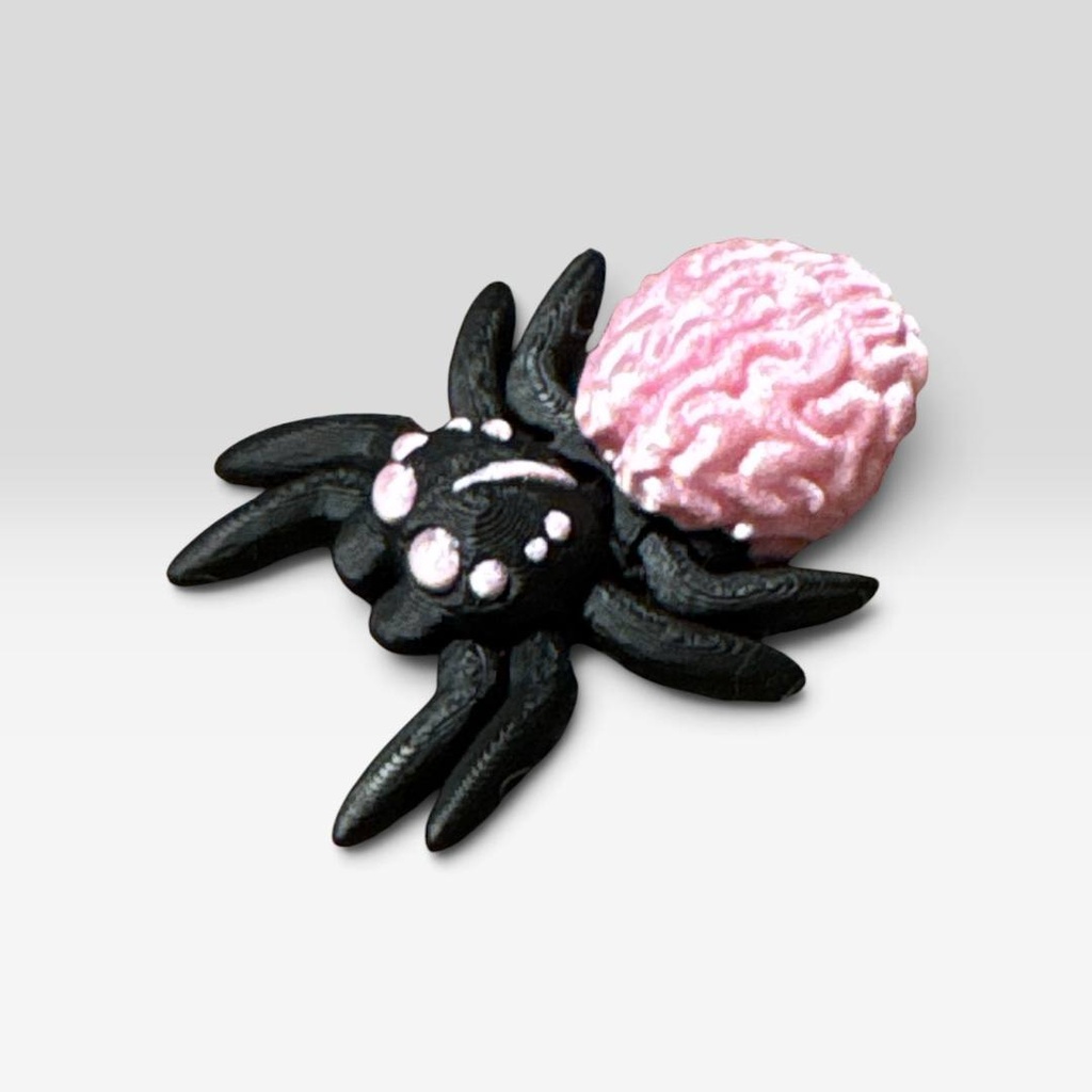 Brain Spider