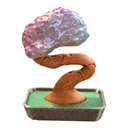 Bendy Bonsai Fidget