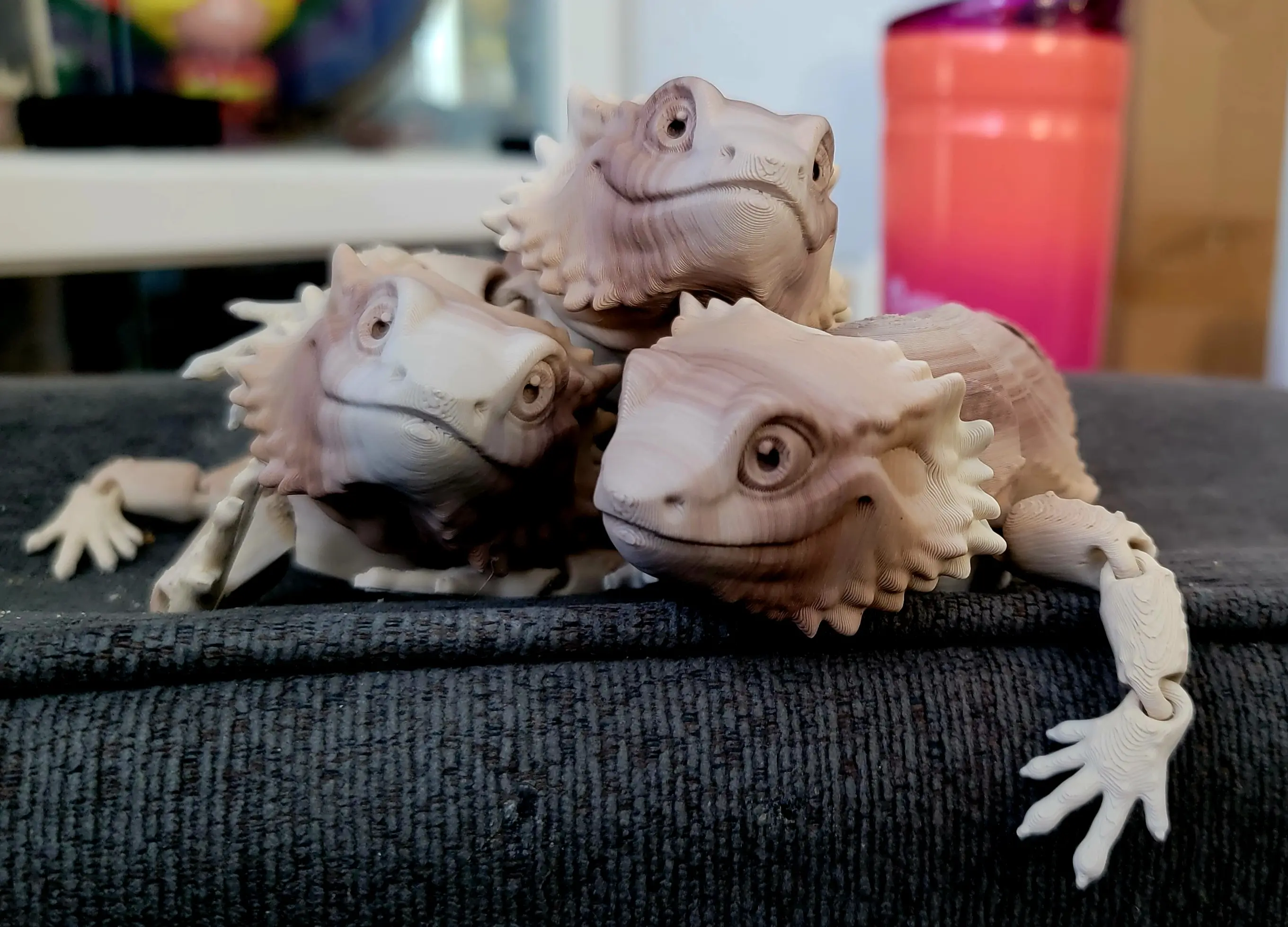 Bearded Dragon