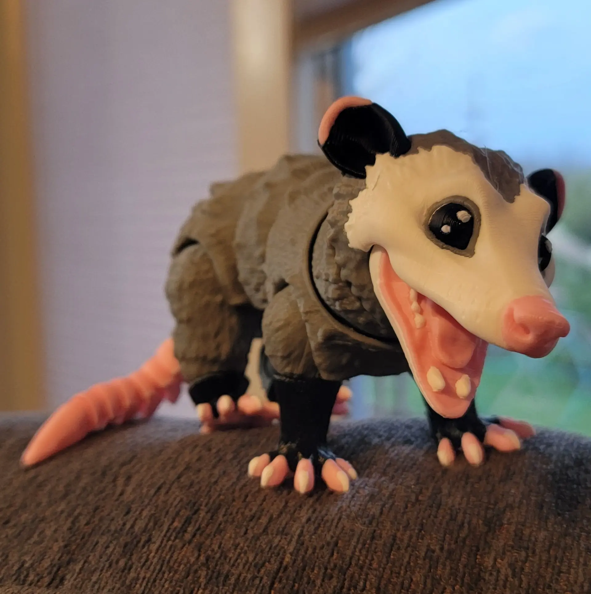 Opossum, Yeah he's weird but cute
