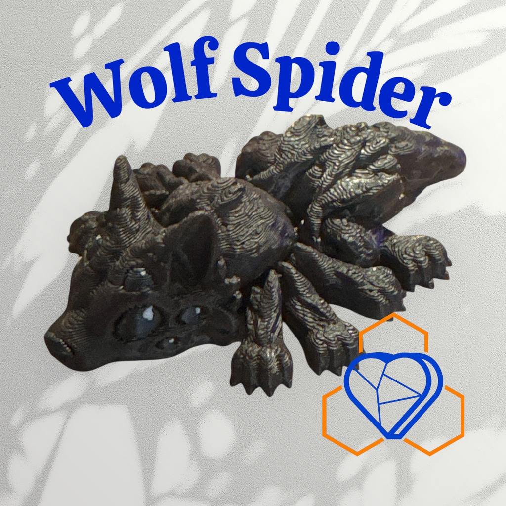 Tiny Wolf Spider