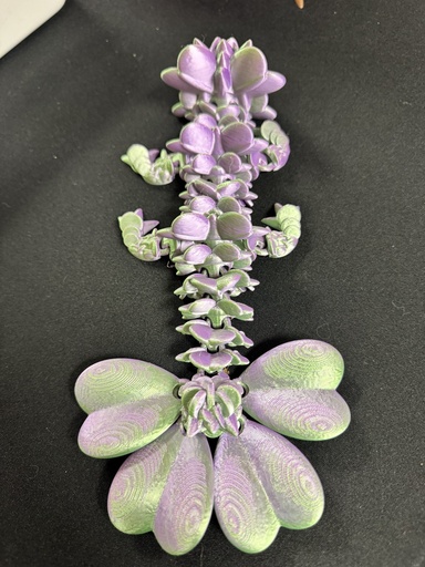 [DRGN043 - Baby Clover Dragon] Baby Clover Dragon