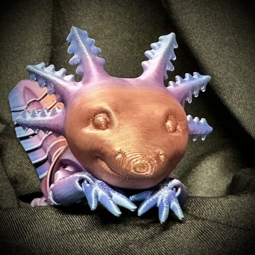 [ANML0002-FDM-MAT-Axolotl] Axolotl