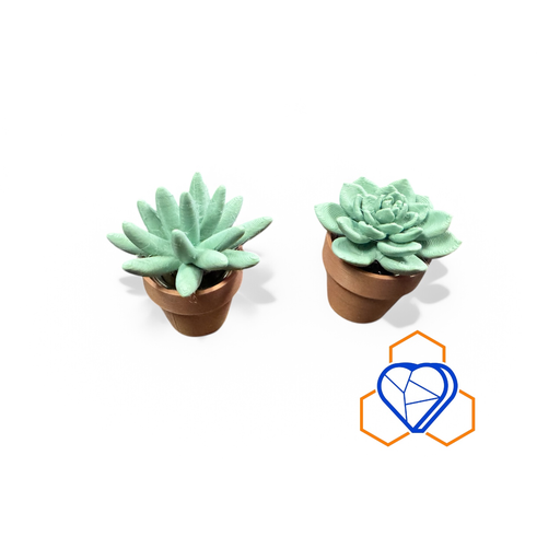 Succulent Spinner Fidget