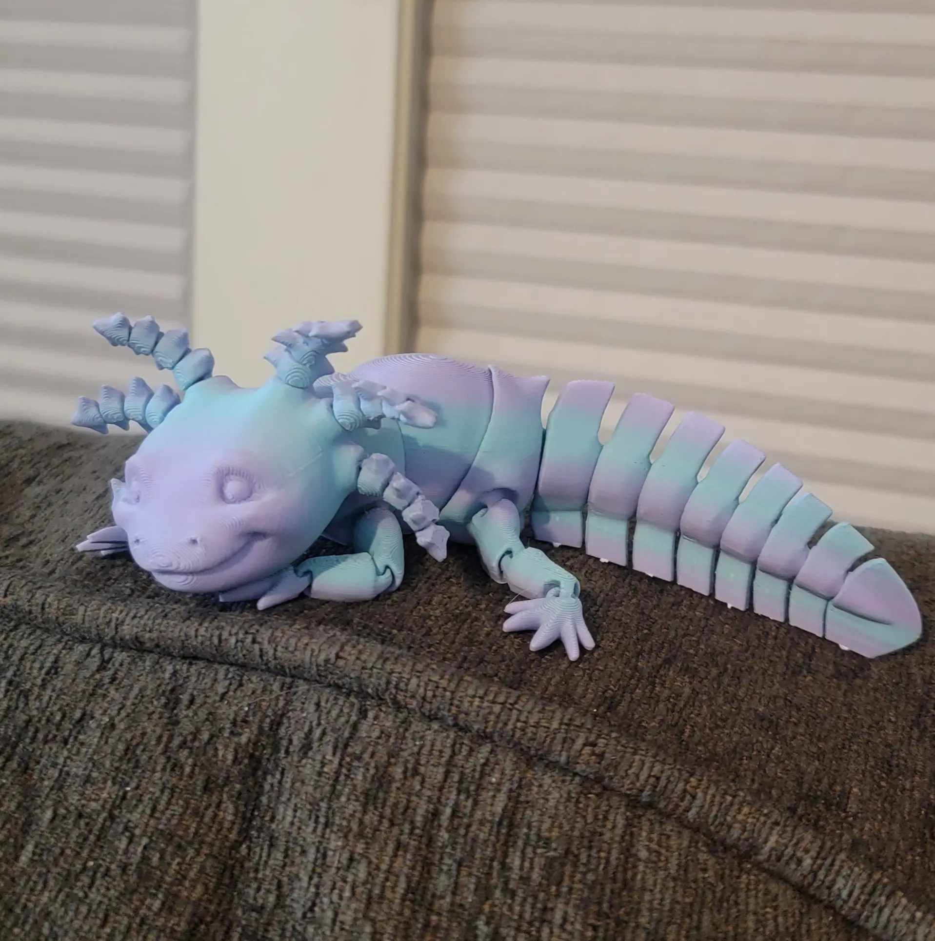 [ANML0002 - Axolotl] Axolotl