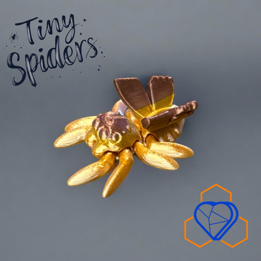 [ANML0049 - Fairy Spider] Tiny Fairy Spider